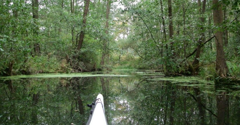 Berlin: Dämeritzsee, Gosener Graben, Seddinsee