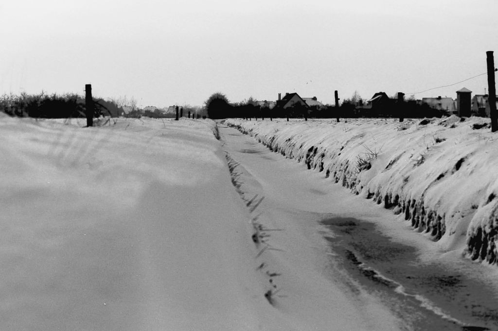 Feld bei Harsweg, ca. 1979