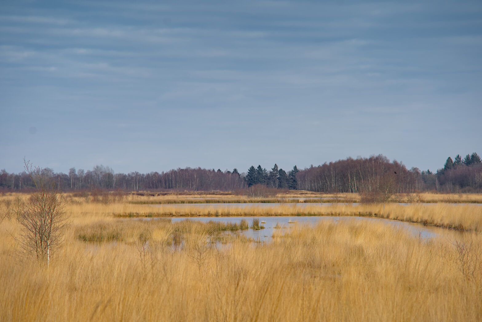 Wiesmoor – Klinge