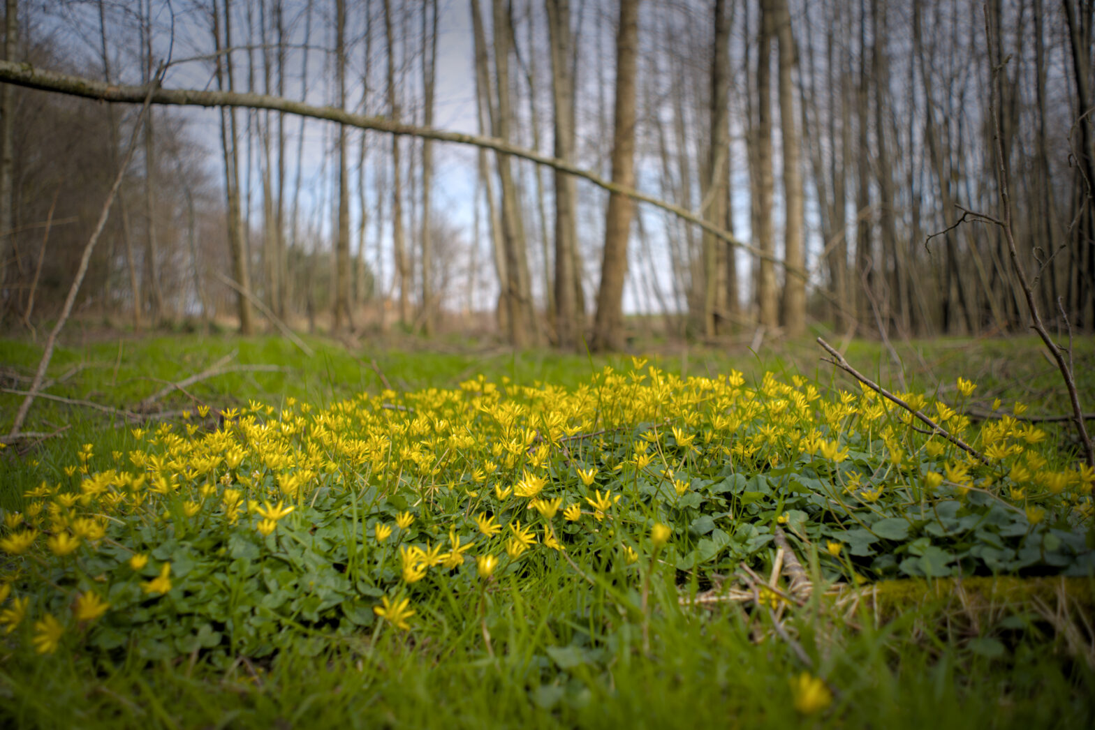 In den “Dünen” von Aurich-Oldendorf