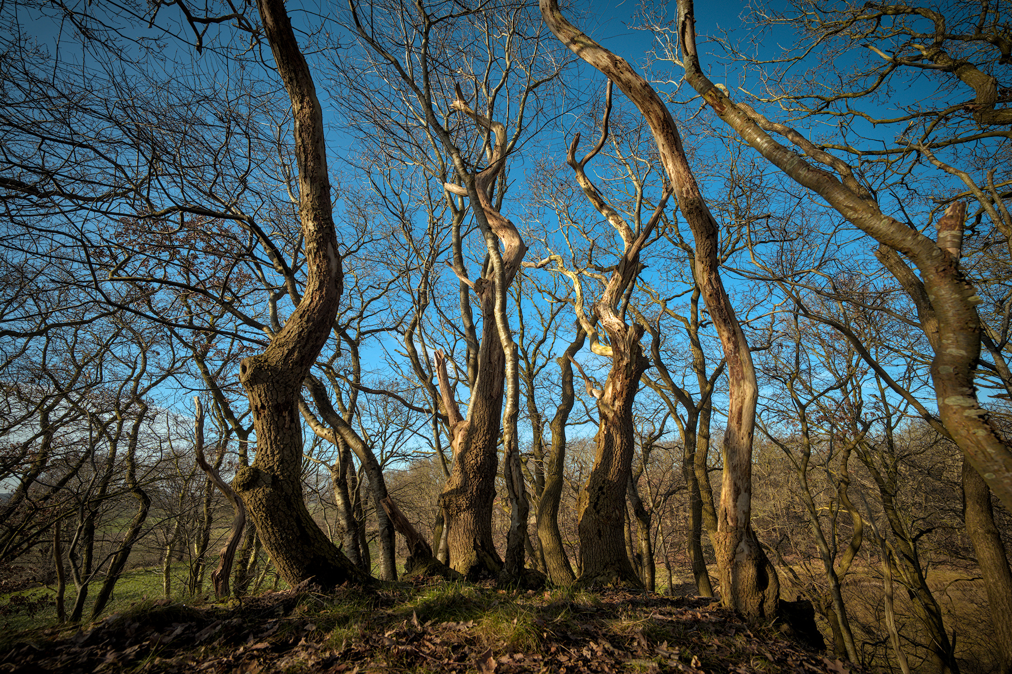 Tunxdorf und Borsum – Dünen aus der Eiszeit